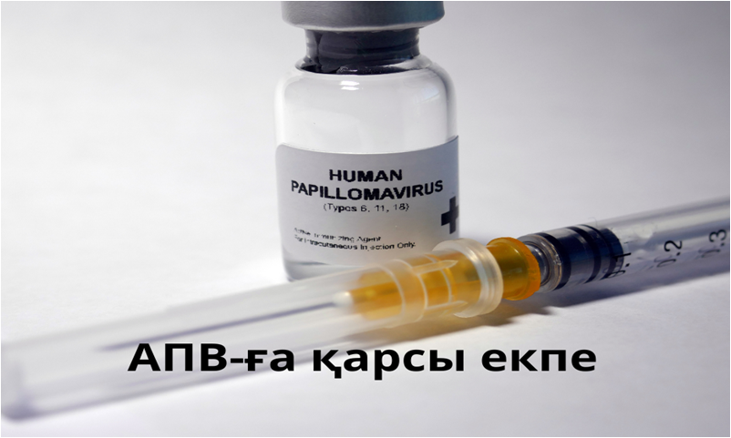 Желіде гинекологтың кабинетіндегі қыздың жыныстық қатынас туралы видеолары бар.