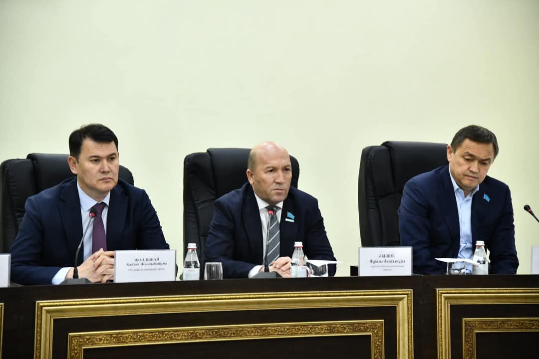 ОБЛЫСТЫҚ МӘСЛИХАТ ДЕПУТАТТАРЫ АУДАН АКТИВІМЕН КЕЗДЕСТІ