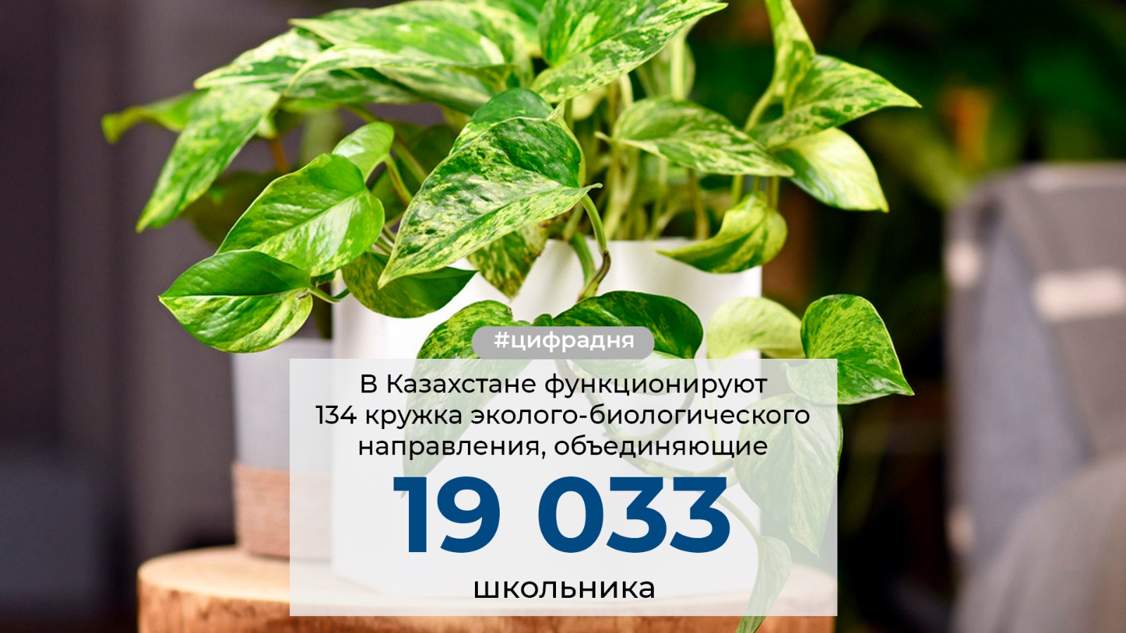 ЦИФРА ДНЯ