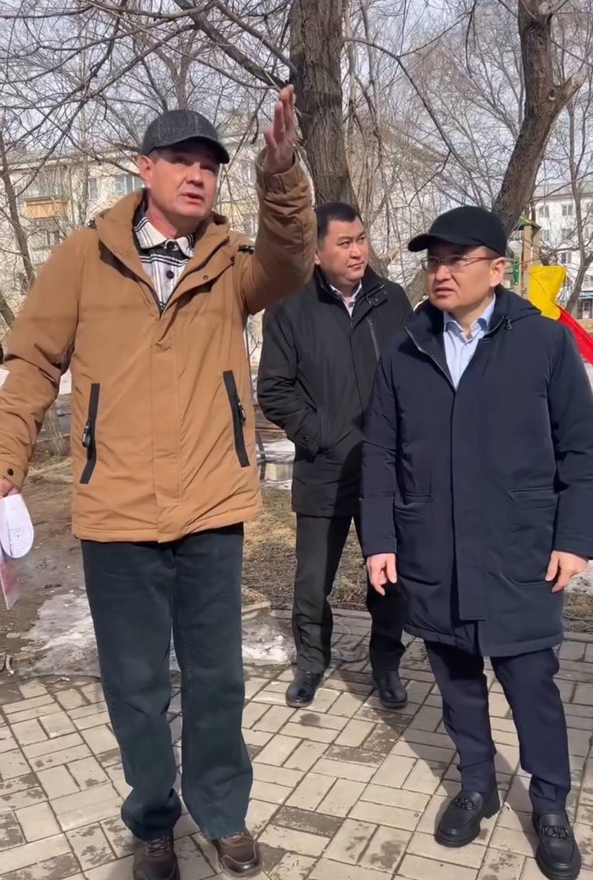 "Amanat" партиясының филиалында азаматтарды қабылдағаннан кейін аулаға бару