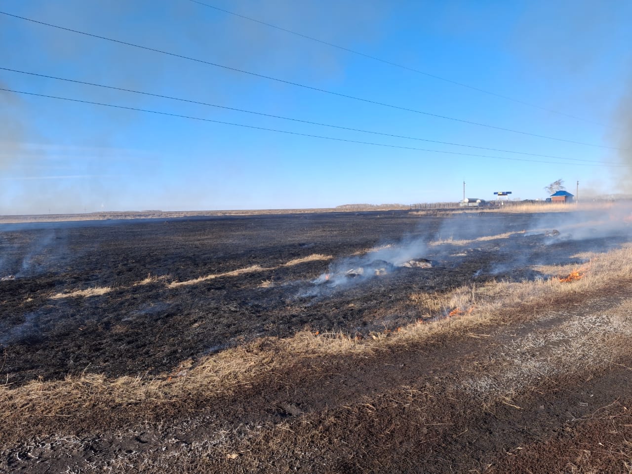 құрғақ шөпті  өртеу