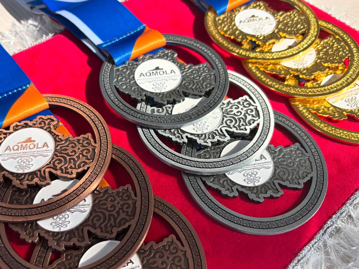 Целиноград ауданында белбеу күресінен аудан чемпионаты өтті