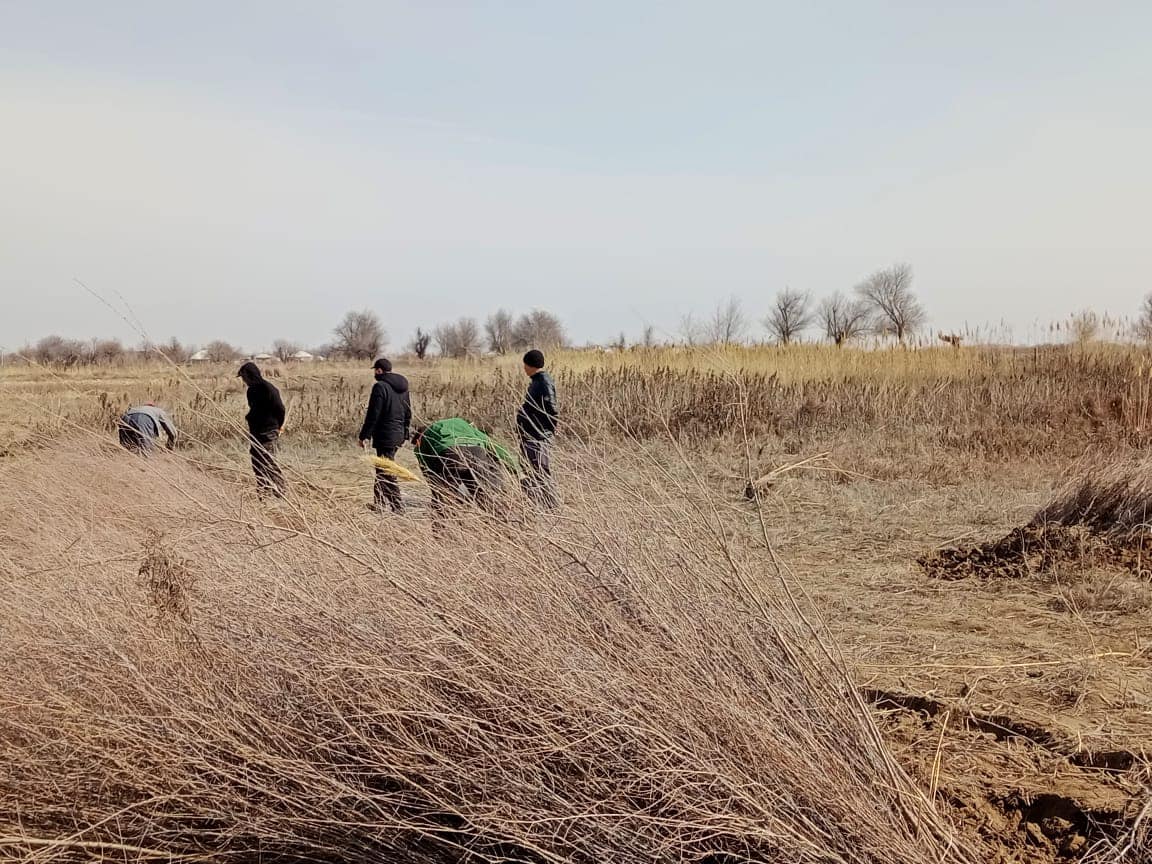 ТҮРКІСТАН: ТҰҚЫМБАҚТАҒЫ КӨШЕТТЕР ЕЛДІ МЕКЕНДЕРГЕ ЕГІЛУДЕ