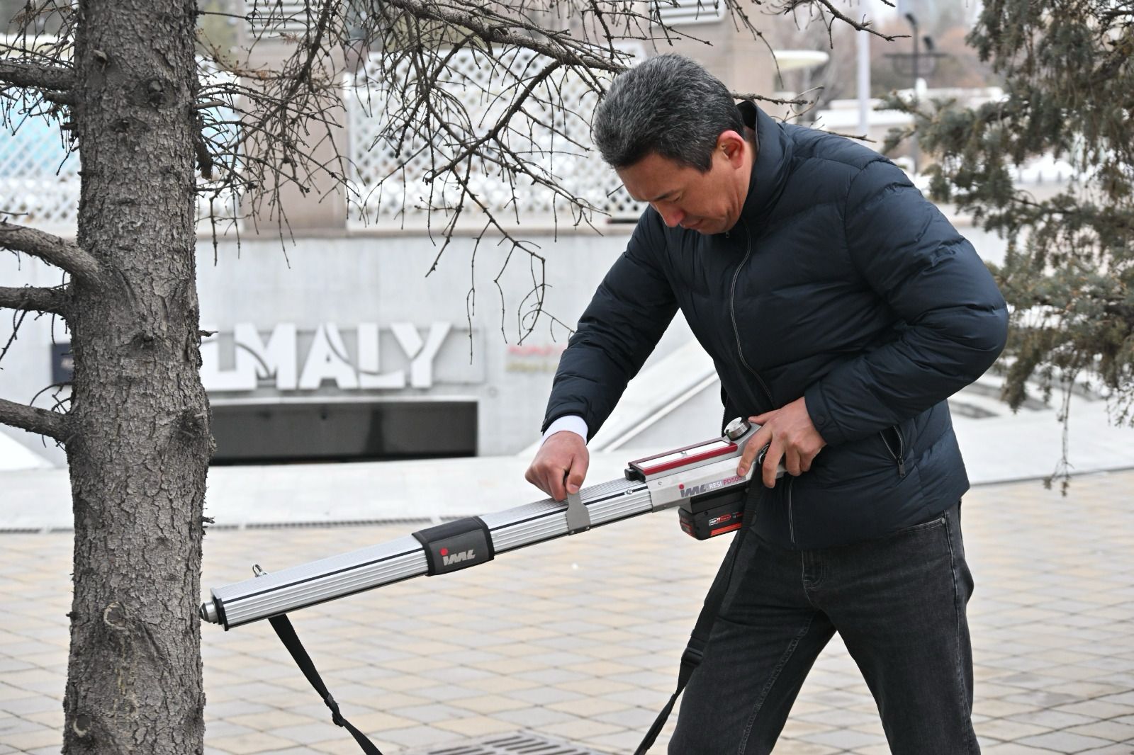 Республика алаңы мен әл-Фараби даңғылы бойындағы апатты жағдайдағы ағаштар биіктігі 6 метрден асатын ірі көшеттермен алмастырылады