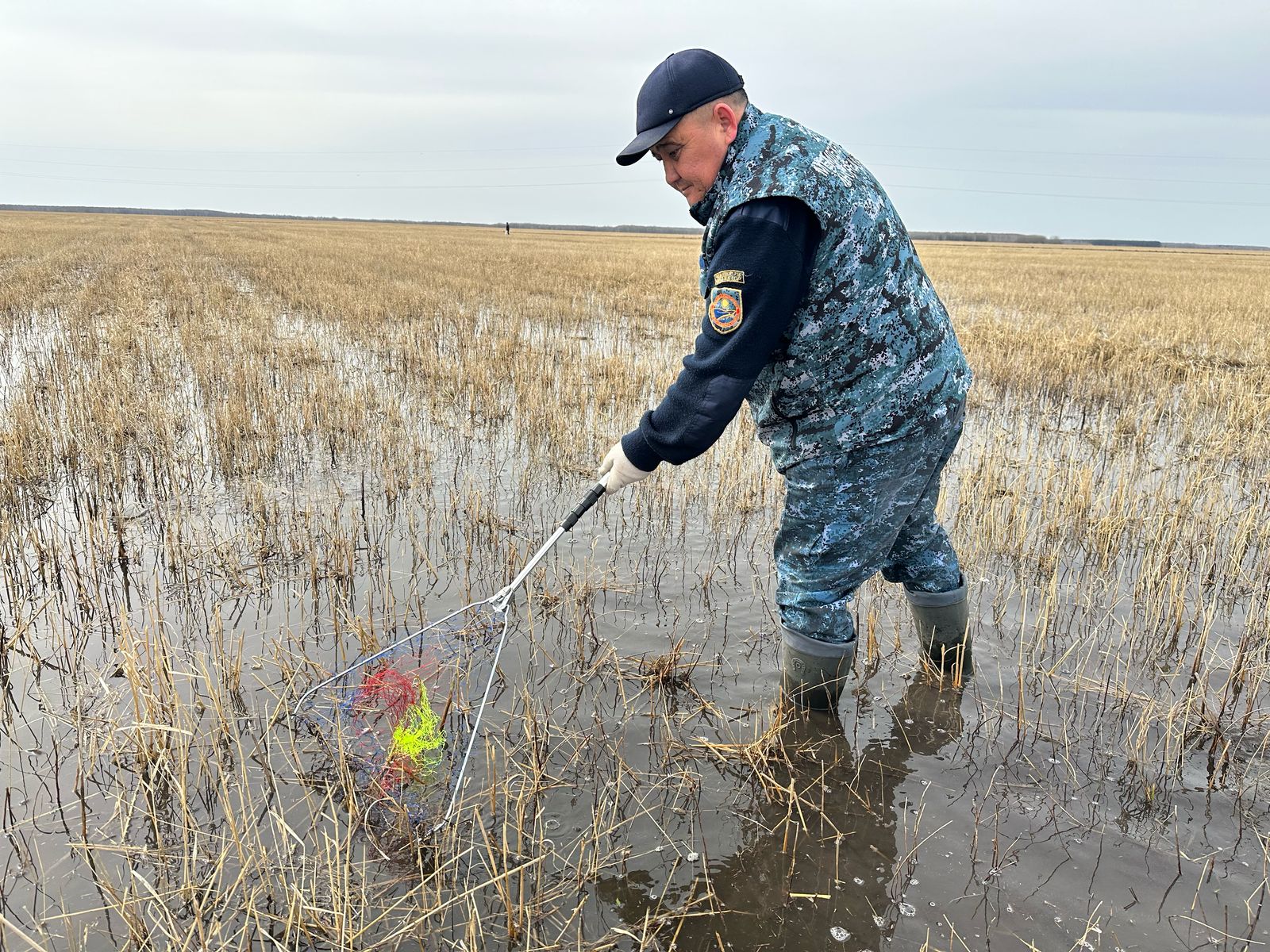 В Мендикаринском районе Костанайской области проводится спасение рыбы после разлива водоема
