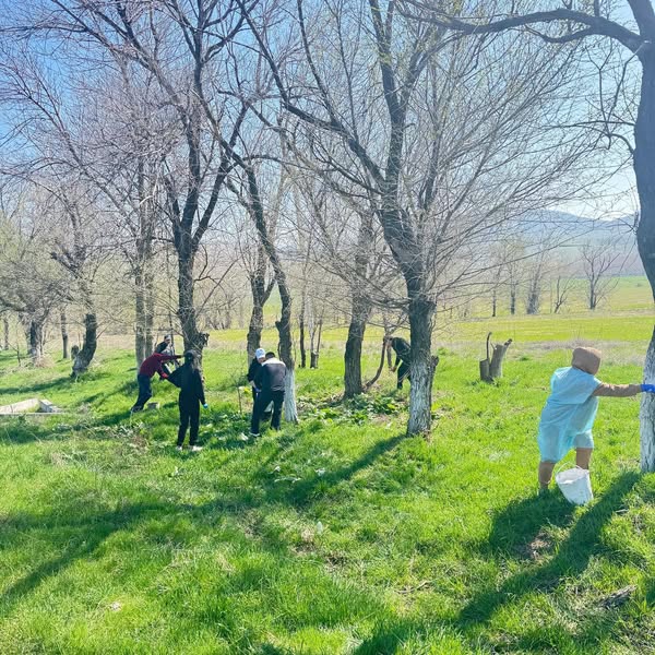 ТҮРКІСТАН: ТҮЛКІБАСТА МЫҢҒА ЖУЫҚ МЕКЕМЕ ҚЫЗМЕТКЕРЛЕРІ КҮРЕ ЖОЛҒА СЕНБІЛІККЕ ШЫҚТЫ