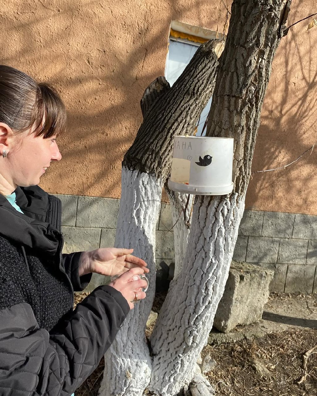 Халықаралық құстар күні