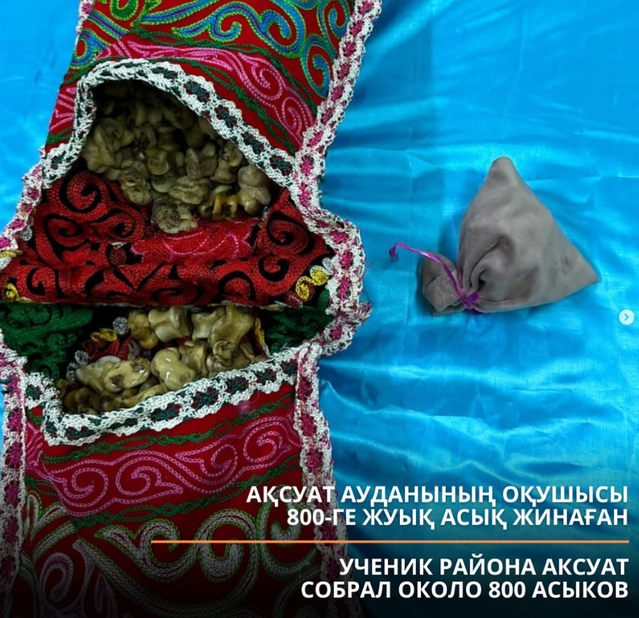 Ақсуат ауданының оқушысы 800-ге жуық асық жинаған