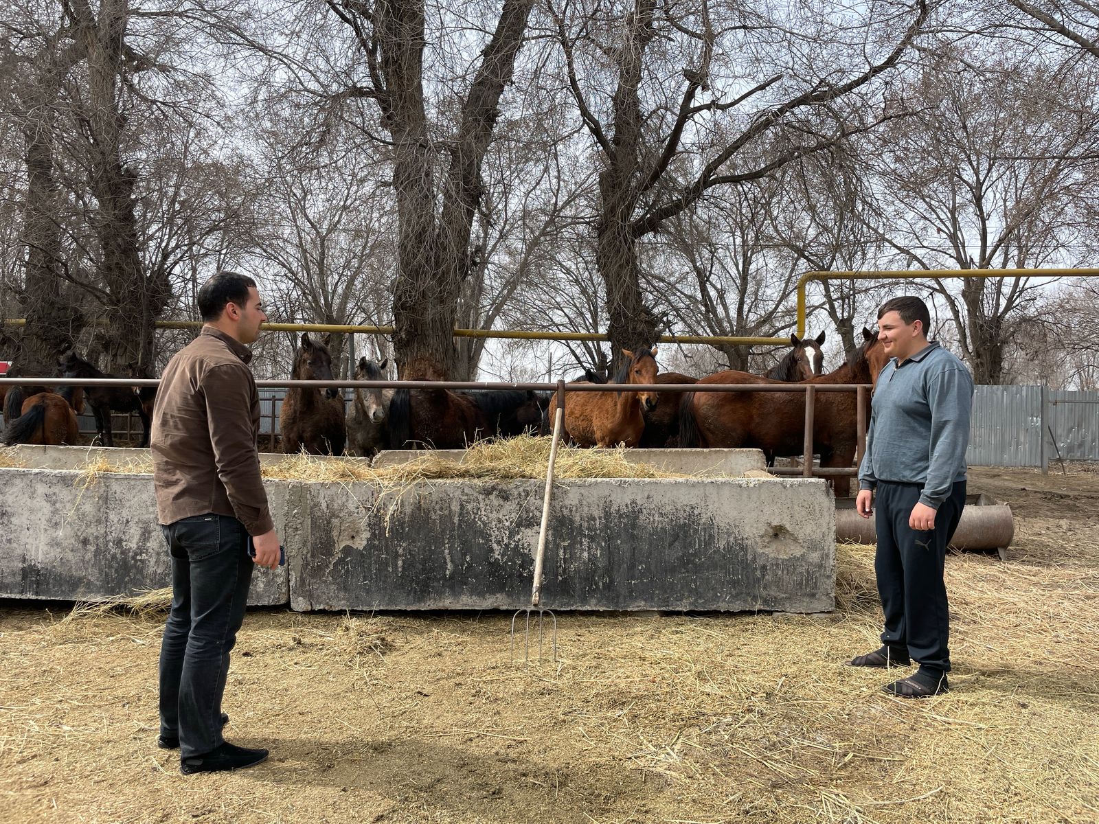 Ескельдин ауылдық округінде ауыл шаруашылығын мониторинг өтті