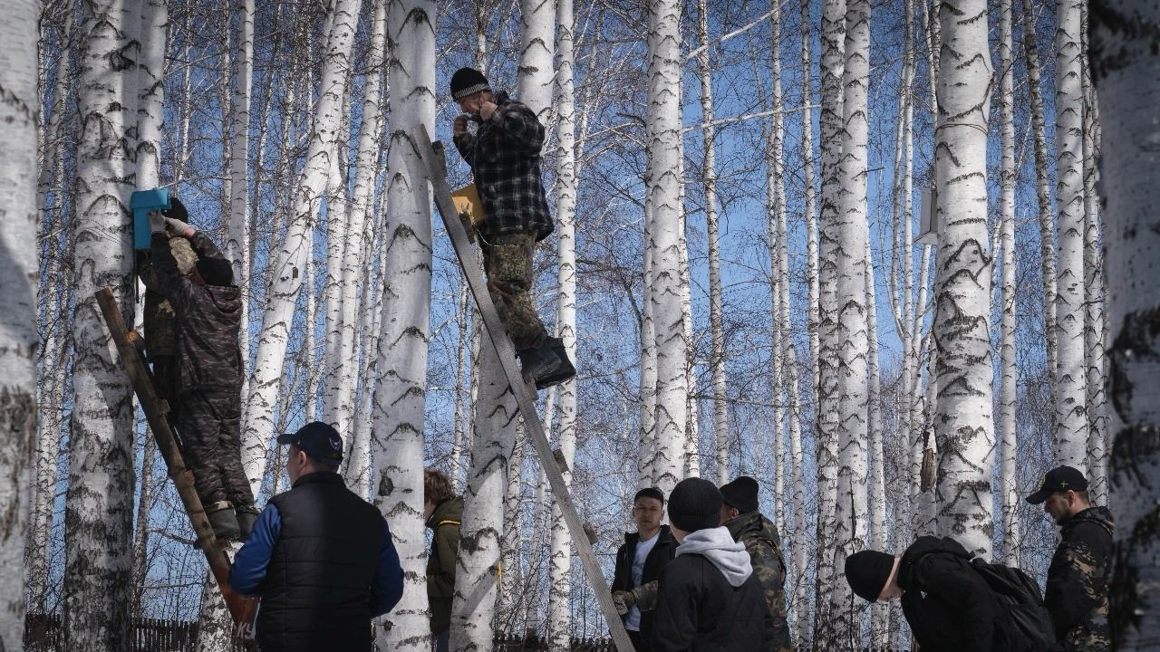 ШҚО оқушылары «Таза Қазақстан» аясында құстарға ұя орнатты