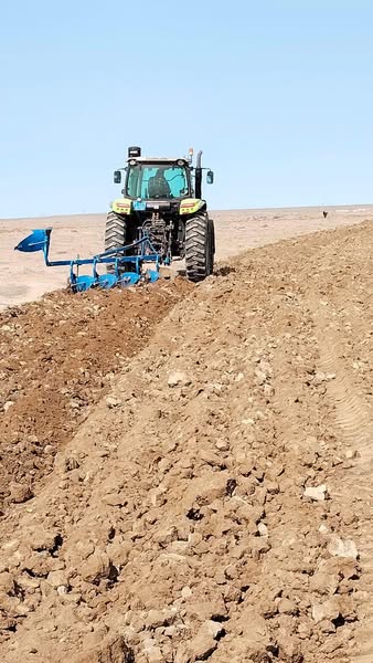 Егіске дайындық жұмыстары басталды