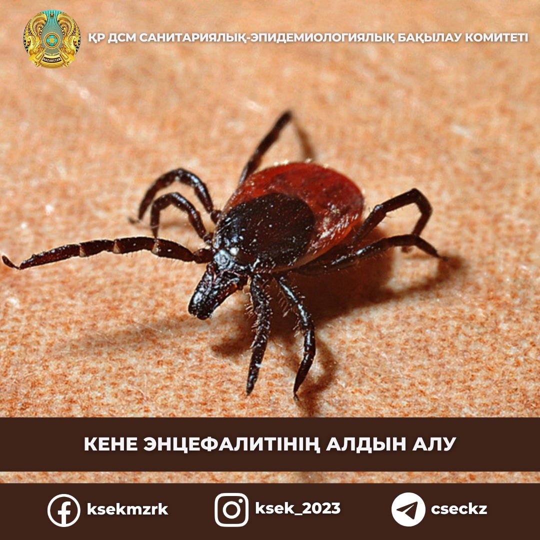 Кене энцефалитінің алдын алу