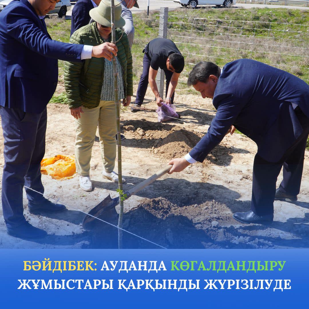 БӘЙДІБЕК АУДАНЫНДА КӨГАЛДАНДЫРУ ЖҰМЫСТАРЫ ҚАРҚЫНДЫ ЖҮРГІЗІЛУДЕ
