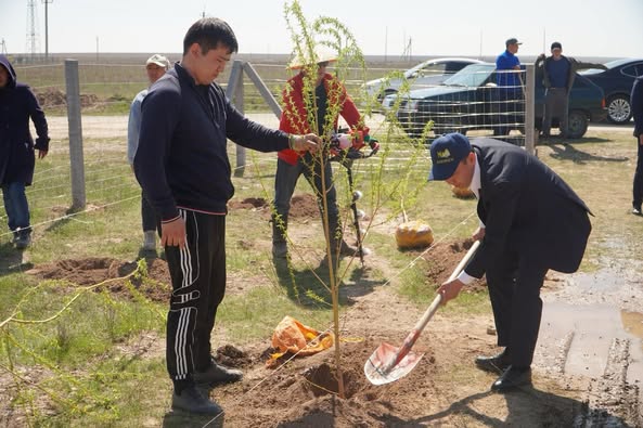 ТҮРКІСТАН: БӘЙДІБЕК АУДАНЫНДА КӨГАЛДАНДЫРУ ЖҰМЫСТАРЫ ҚАРҚЫН АЛДЫ