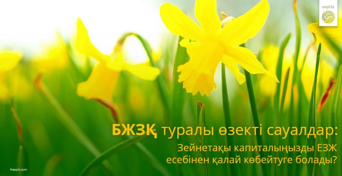 БЖЗҚ туралы өзекті сауалдар: Зейнетақы капиталыңызды ЕЗЖ есебінен қалай көбейтуге болады?
