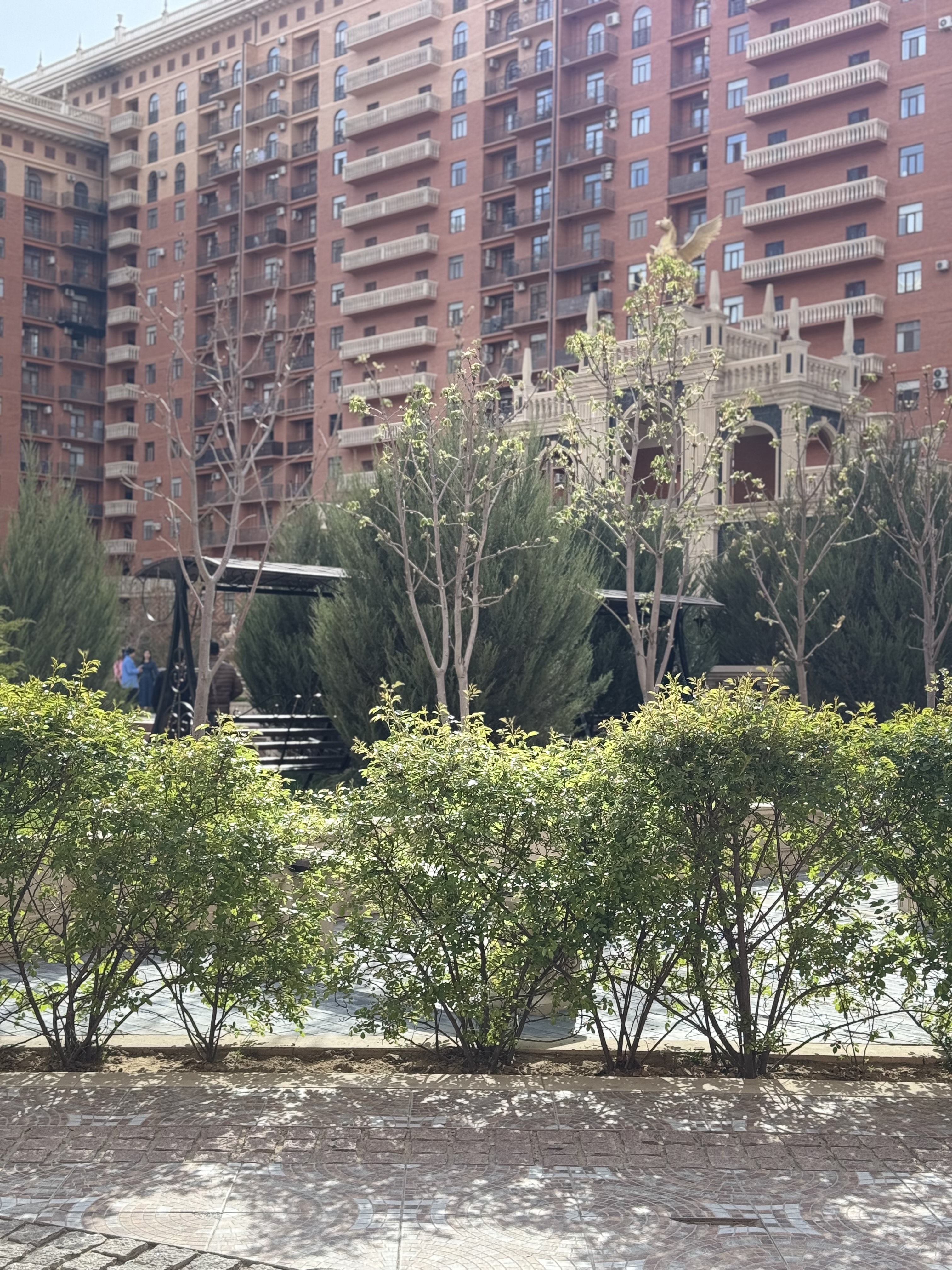 «Үлгілі аула»: Ақтауда 17-шағын аудан тұрғындары үйінің ауласын баққа айналдырды