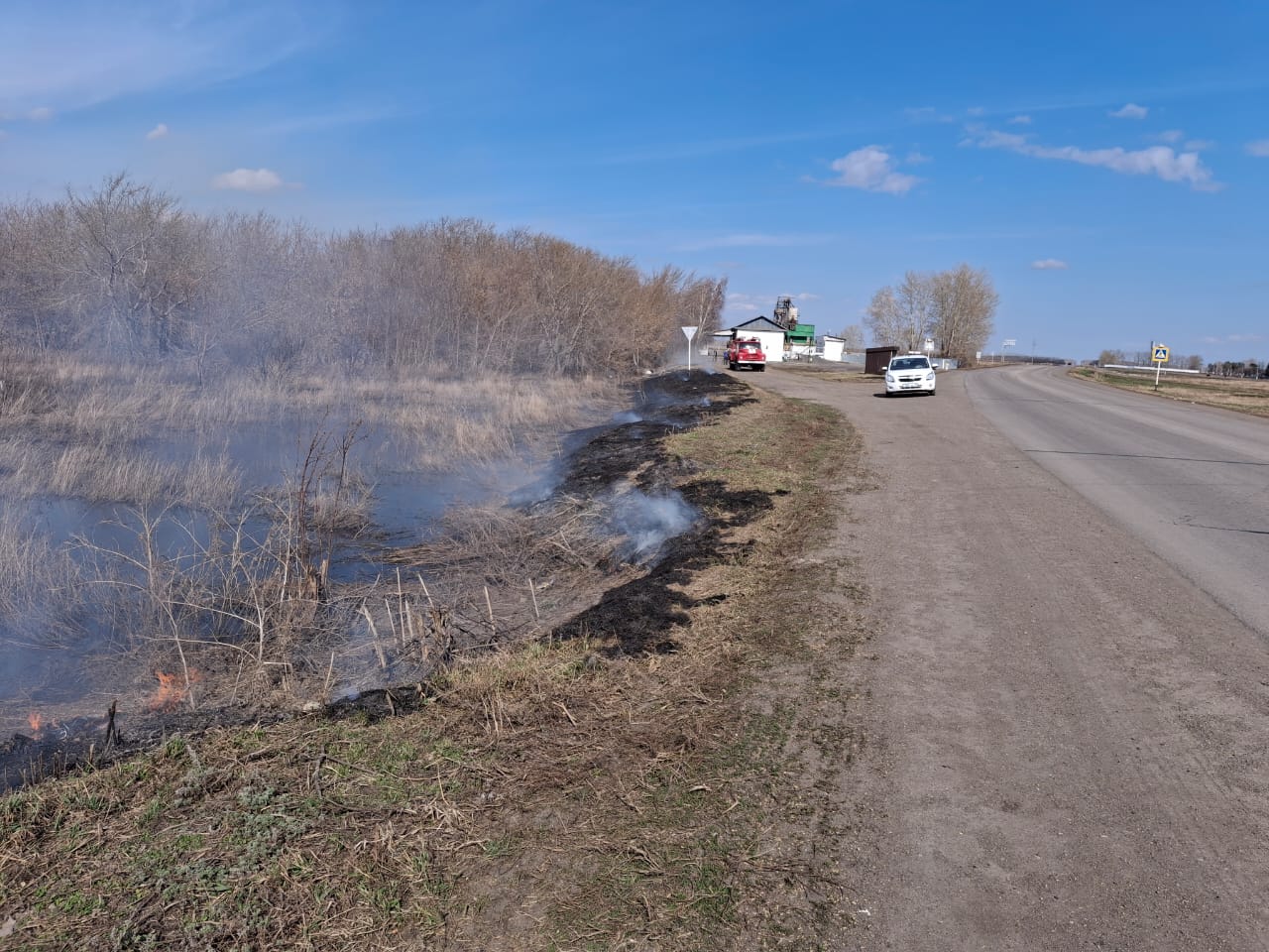 таза бейсенбі