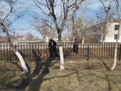 Таза бейсенбі
