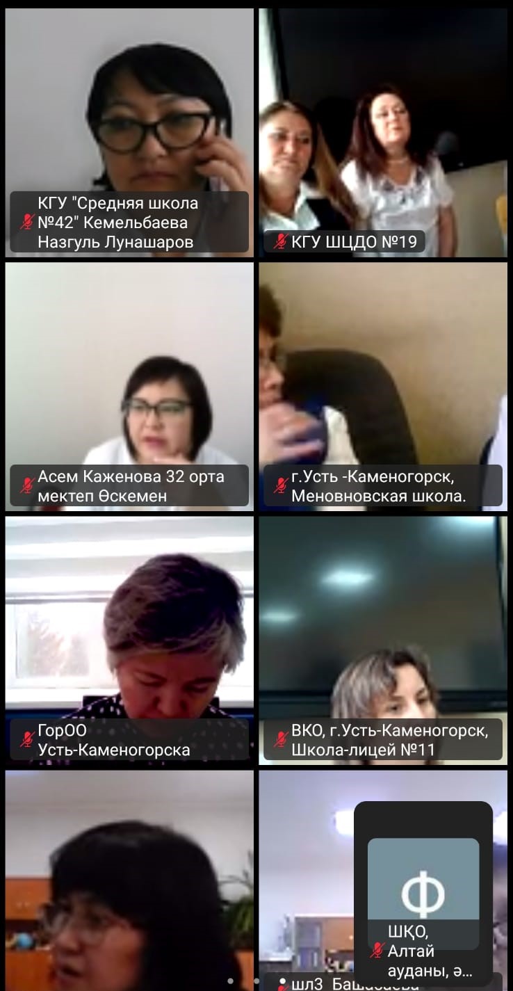 Педагогтердің авторлық бағдарламаларының жұмыс тәжірибесін тарату бойынша облыстық вебинар