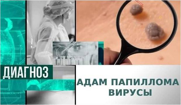 Адам папиллома вирусы және  одан қорғану жолдары