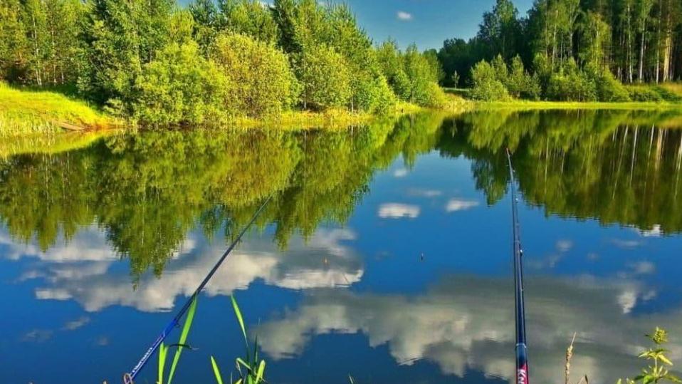В Карагандинской области вводится временный запрет на вылов определённых видов рыбы