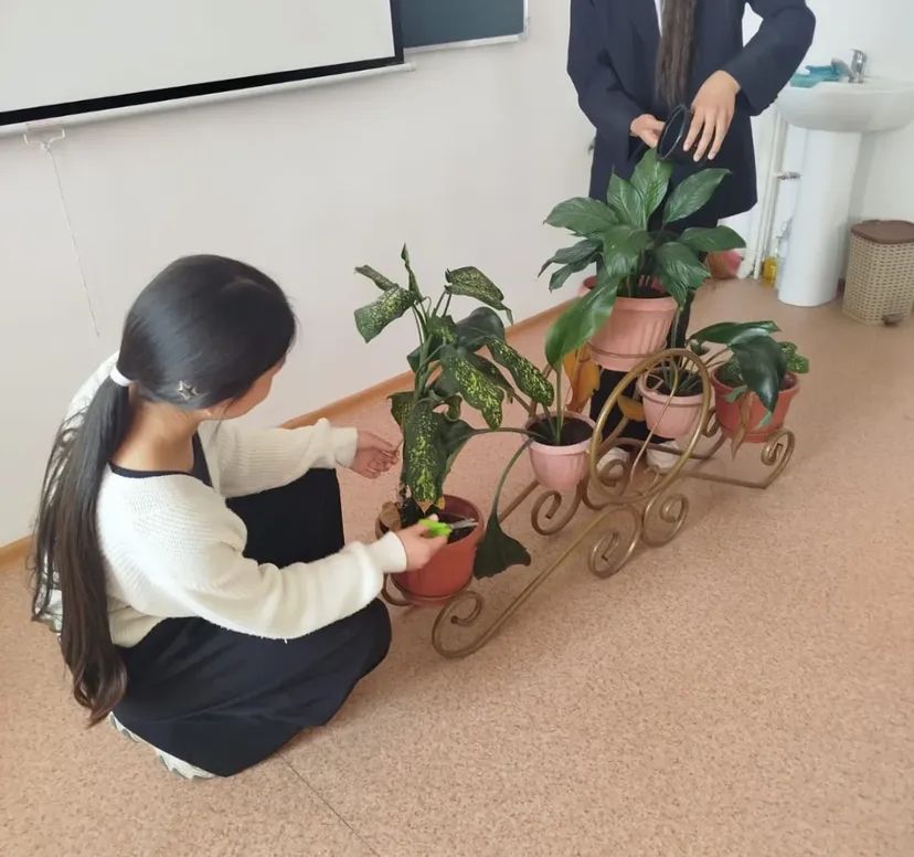 «Жасыл мектеп»