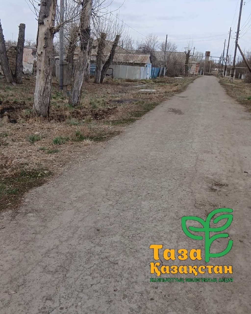 Киевская көшесіндегі экологиялық акция аяқталды!