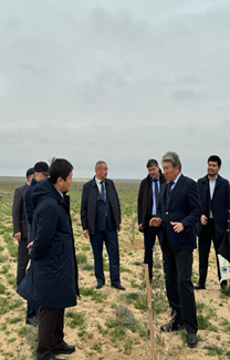 Нұрдәулет Қилыбай Қарақия ауданындағы зәйтүн алқабын аралады