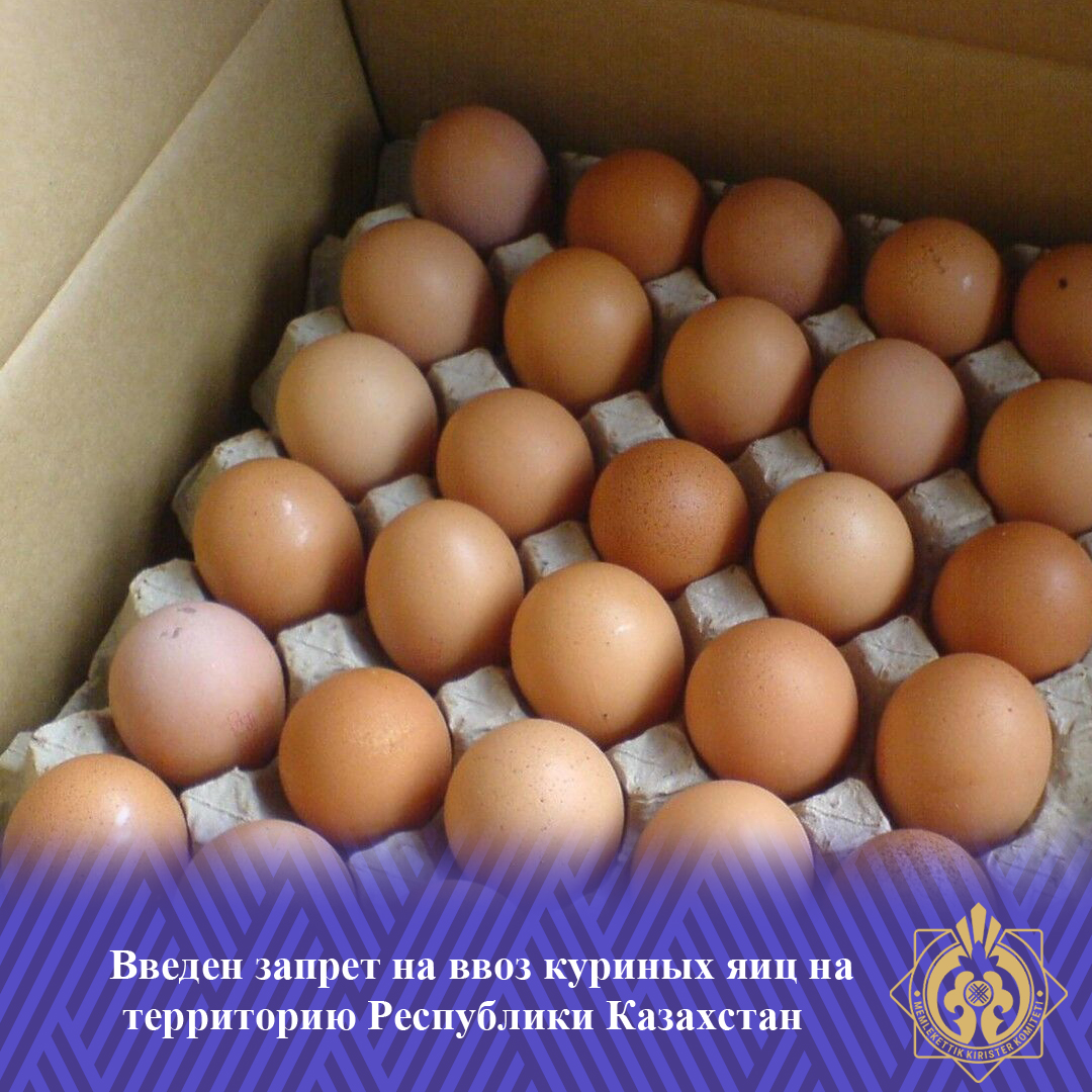 Қазақстан Республикасының аумағына тауық жұмыртқаларын әкелуге тыйым салынды
