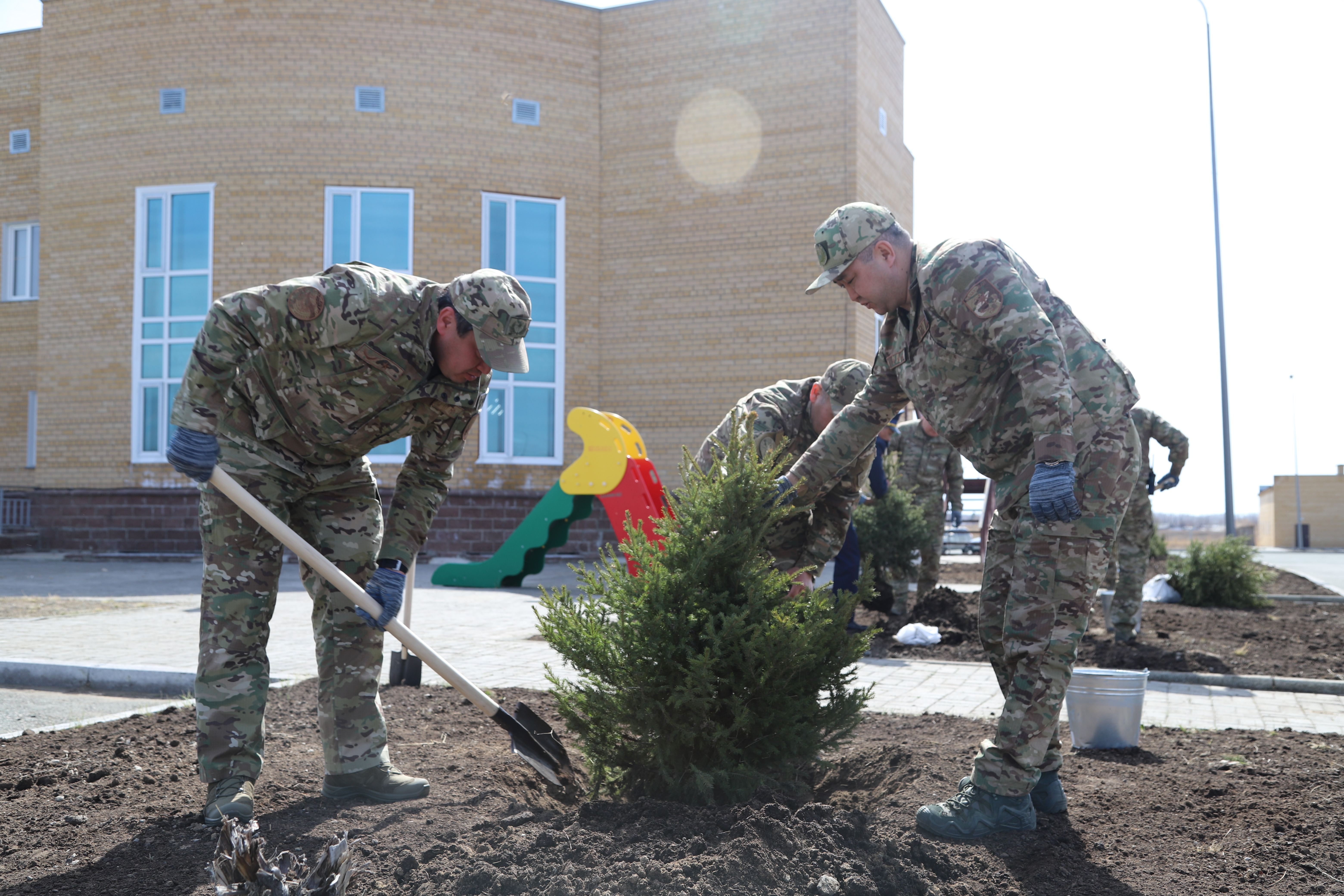 Құтқарушылардың жасыл желек миссиясы: болашаққа 100 ағаш