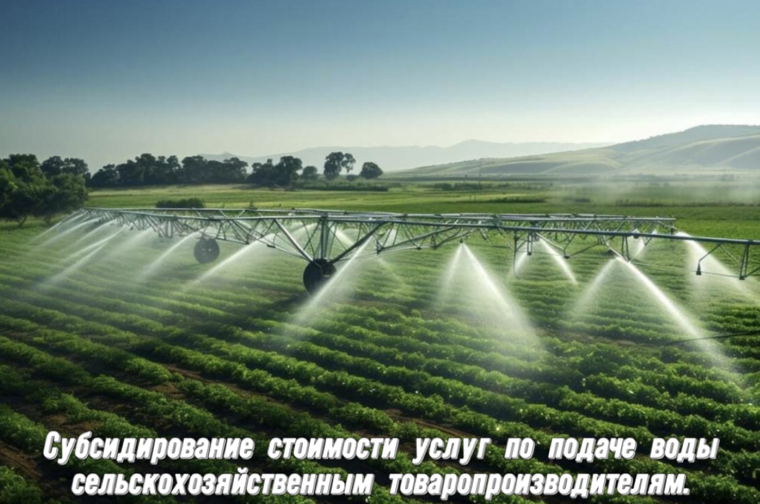 Ауыл шаруашылығы тауарын өндірушілерге су беру жөніндегі қызметтердің құнын субсидиялау.