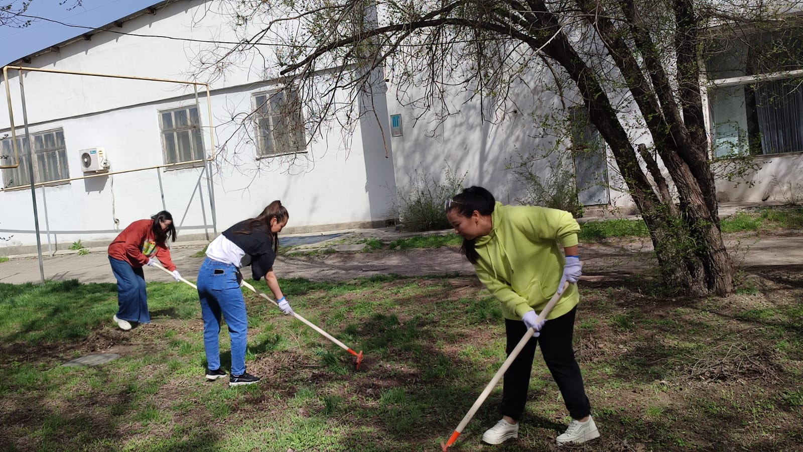 Мәдениет қызметкерлері жалпы қалалық сенбілікке қатысты!