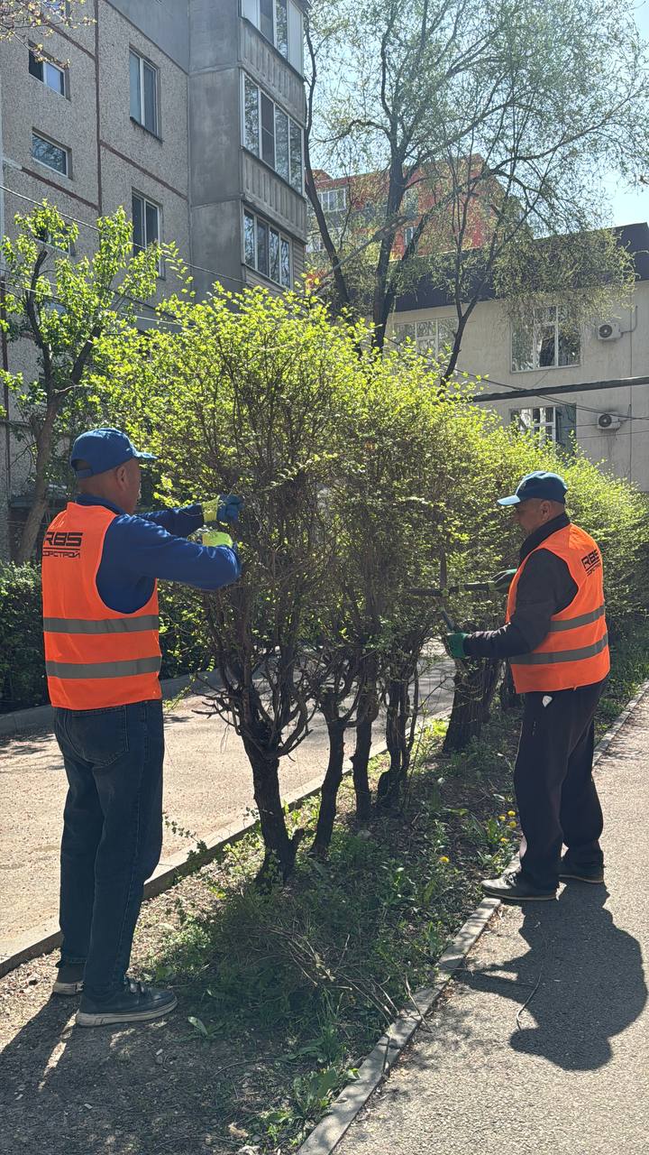 Таза аула – жайлы өмірдің кепілі!