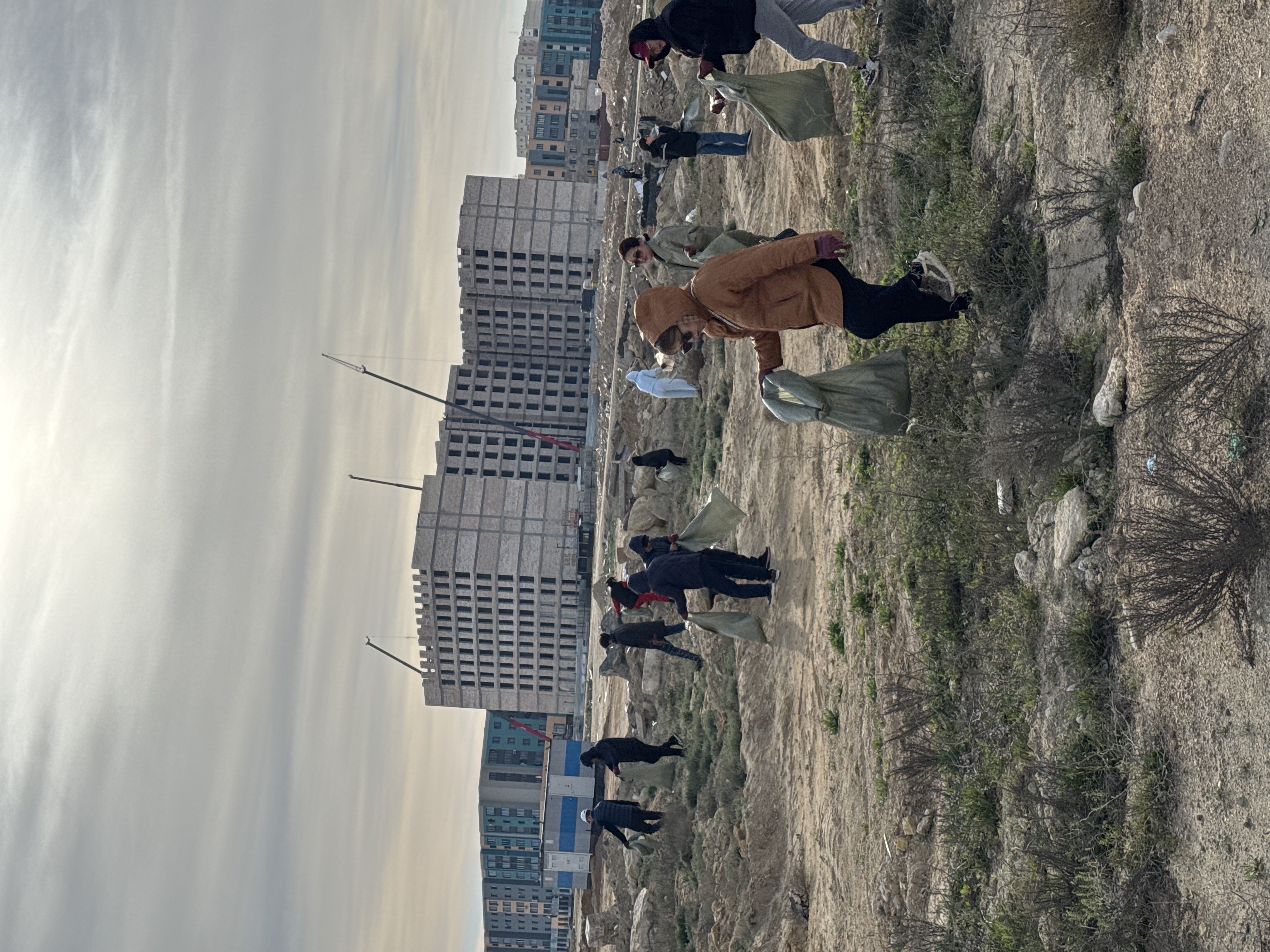 Сенбілік: қала қоқыстан тазартылып, жас шыбықтар бой көтерді