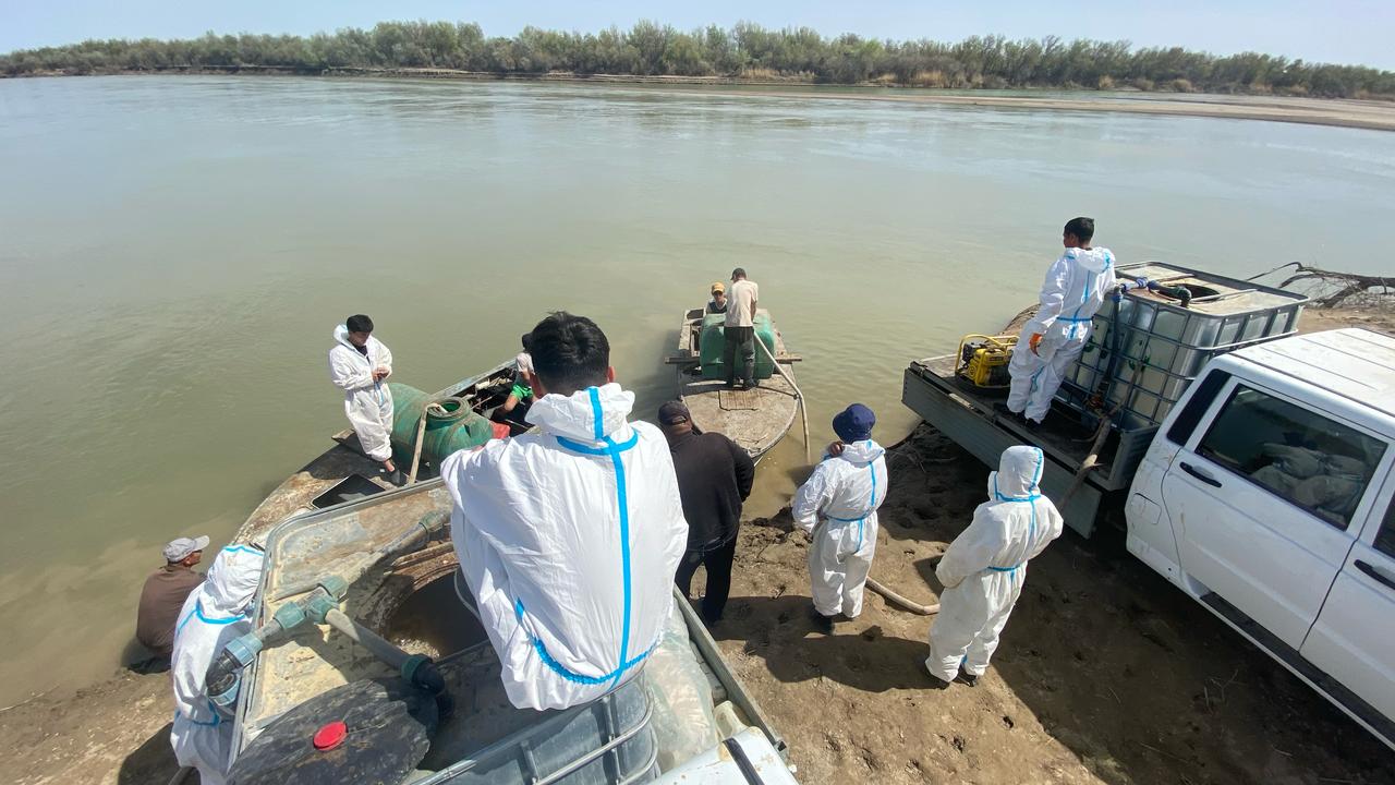 Маяқұм ауыл округіндегі шіркейге қарсы атқарылған жұмыстар,