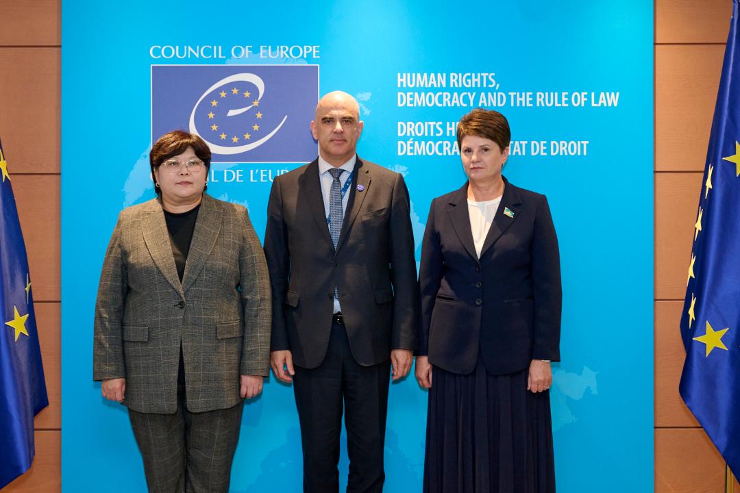 Reforms in Kazakhstan Discussed at the Council of Europe