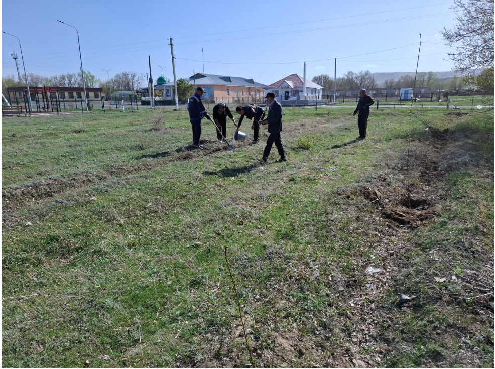 Ауыл ішіне 50 түп жеміс ағаштары отырғызылды