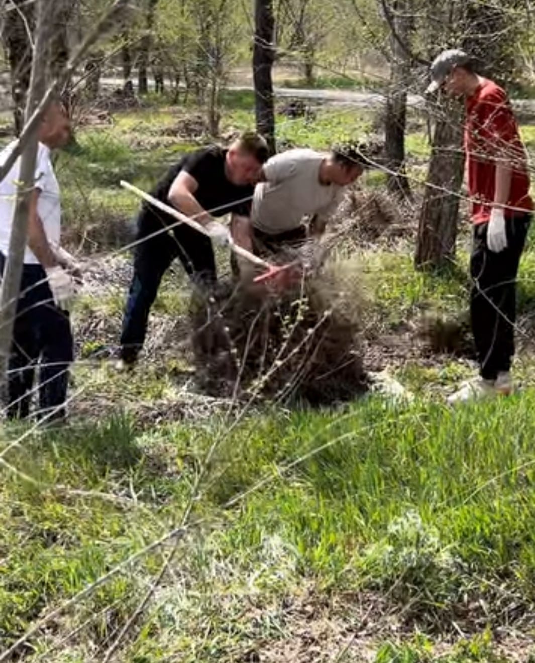Таза Қазақстан: Желтоксан саябағында өткен ауқымды сенбілікке шамамен 450 адам қатысты