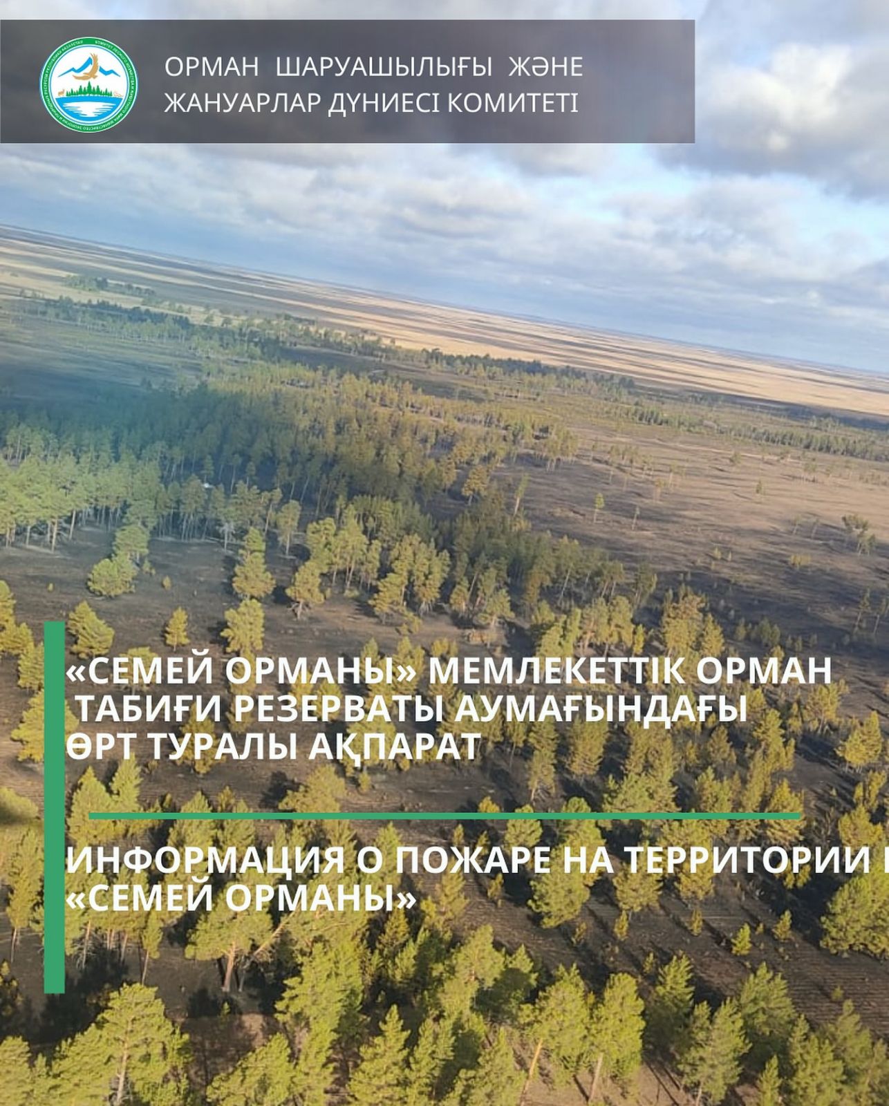 Пожар локализован на территории ГЛПР «Семей орманы»