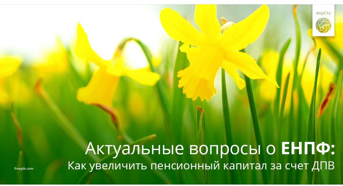 Актуальные вопросы о ЕНПФ: Как увеличить пенсионный капитал за счет ДПВ