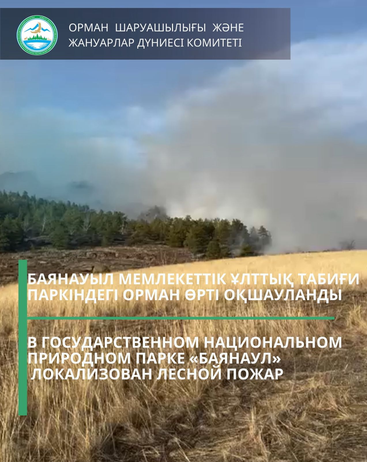 В Государственном национальном природном парке «Баянаул» локализован лесной пожар