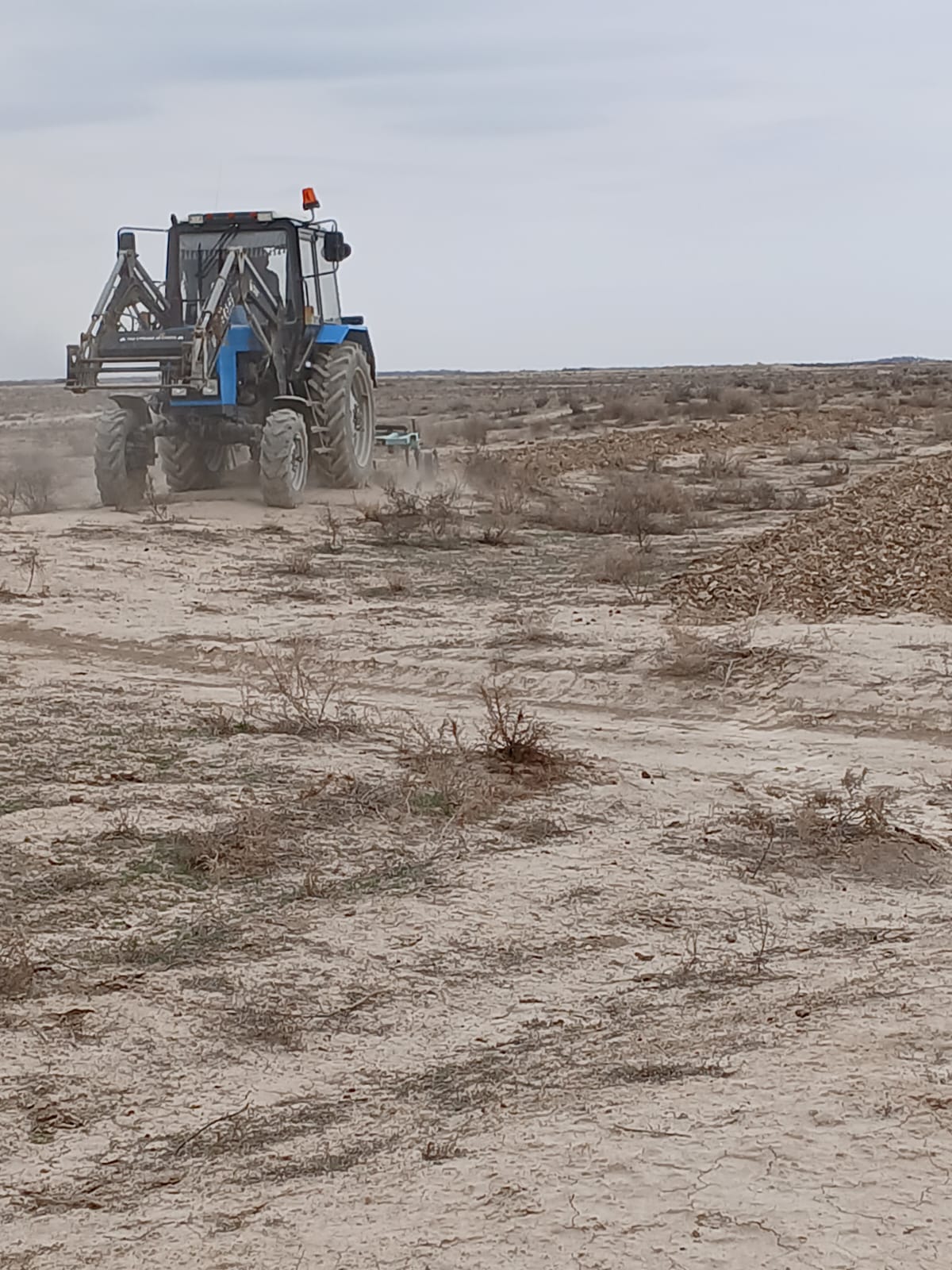 Маяқұм ауылындағы Лишманез