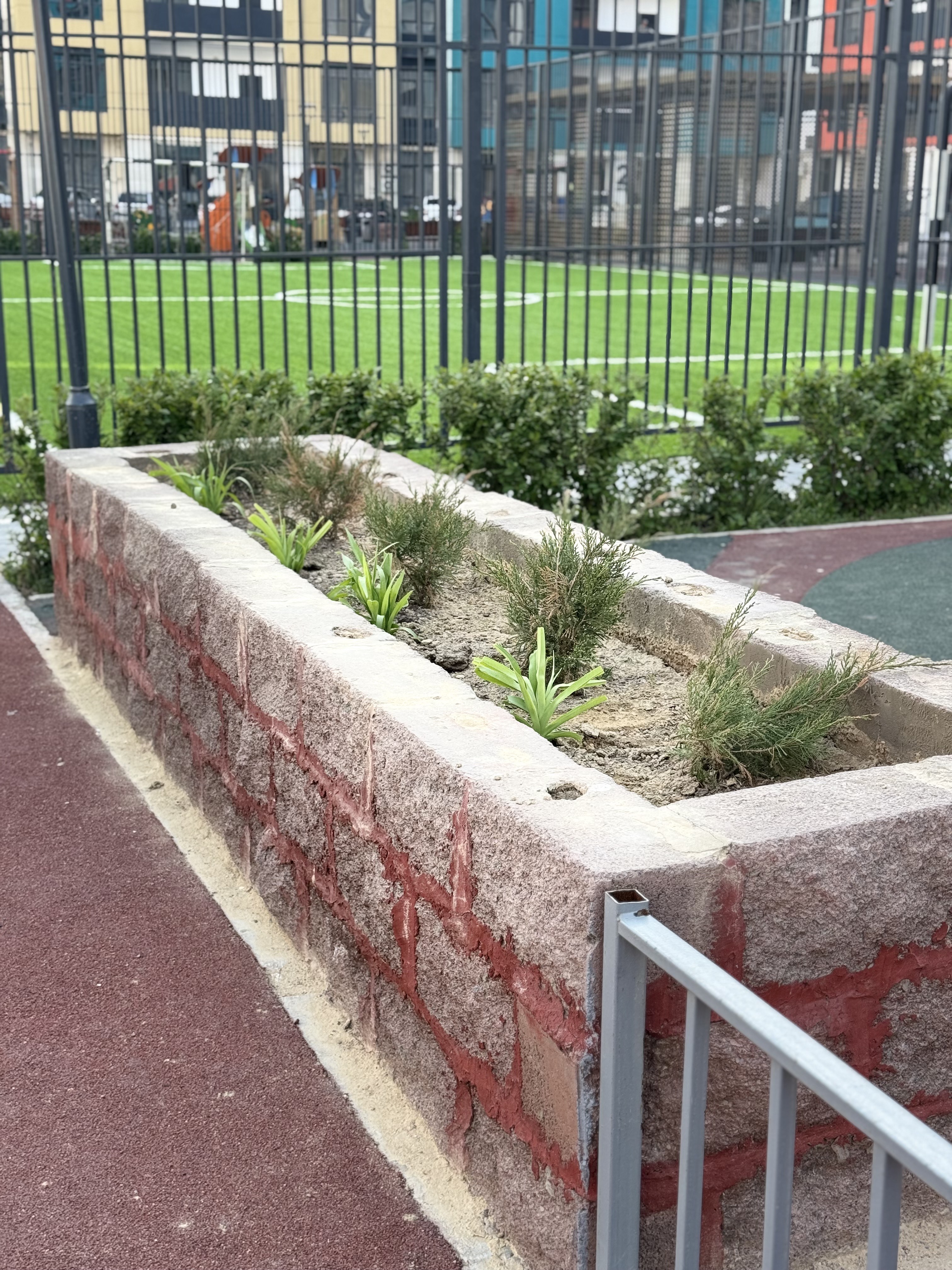 «Үлгілі аула»: 18а шағын ауданның тұрғындары үйінің ауласын жасыл желекке айналдырған