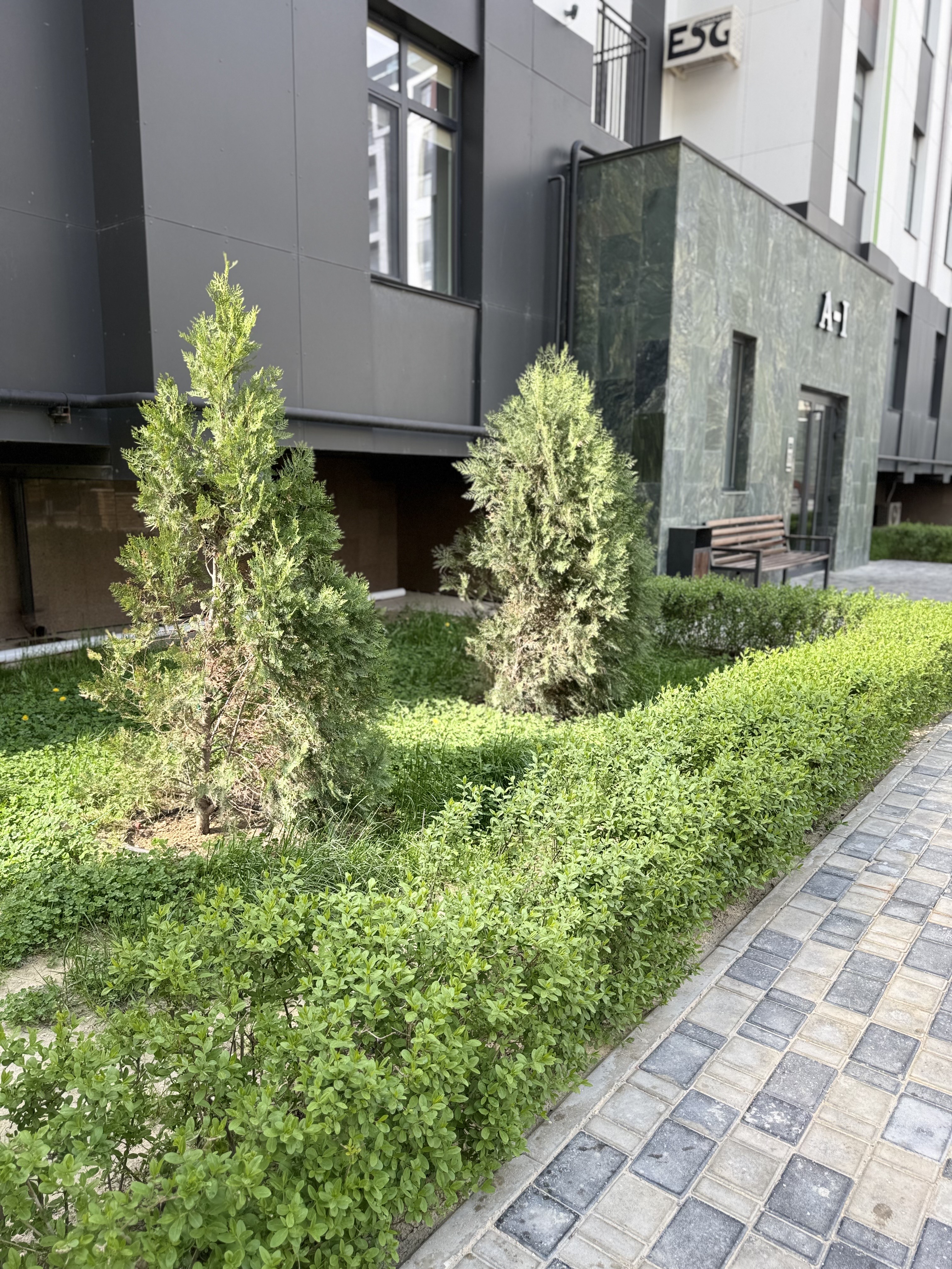 Көгалға көмкерілген көрікті аула