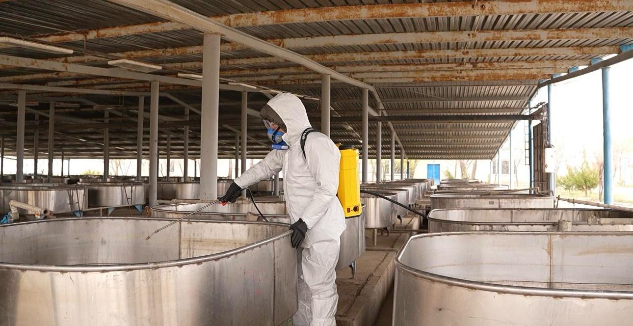 Симуляционные учения по реагированию на болезни рыб прошли в Атырауской области