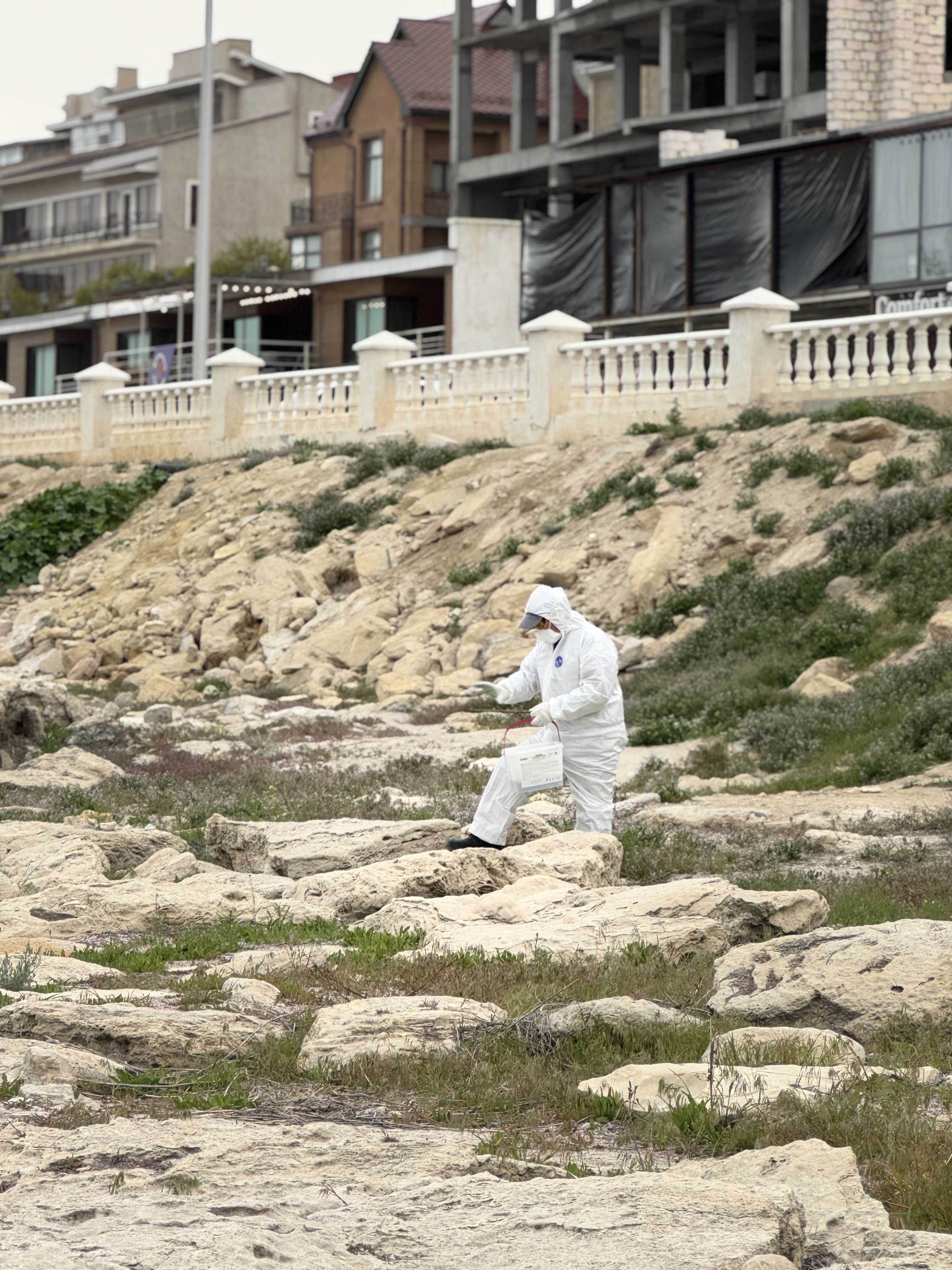 Ақтау қаласында дератизация жұмыстары басталды