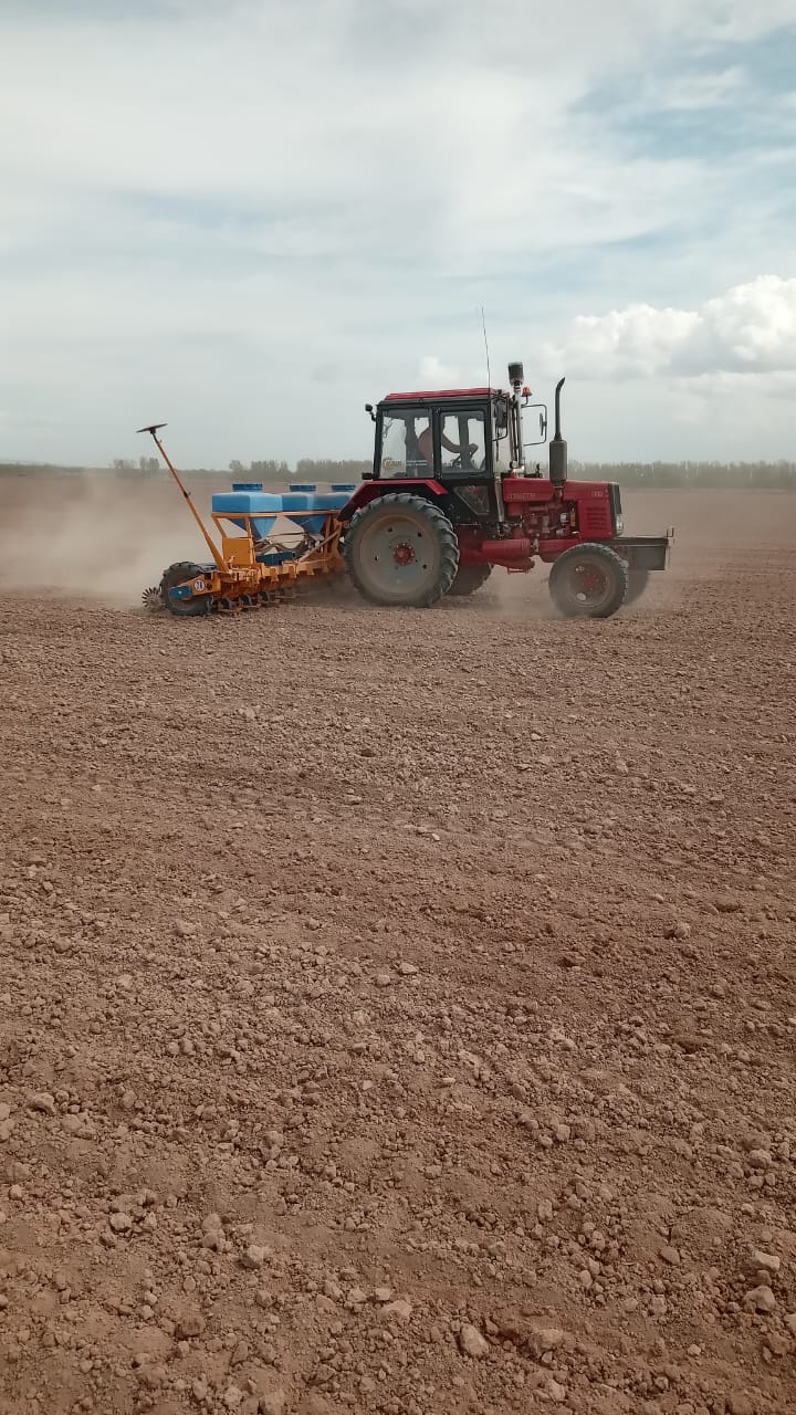 Егін егу науқаны.