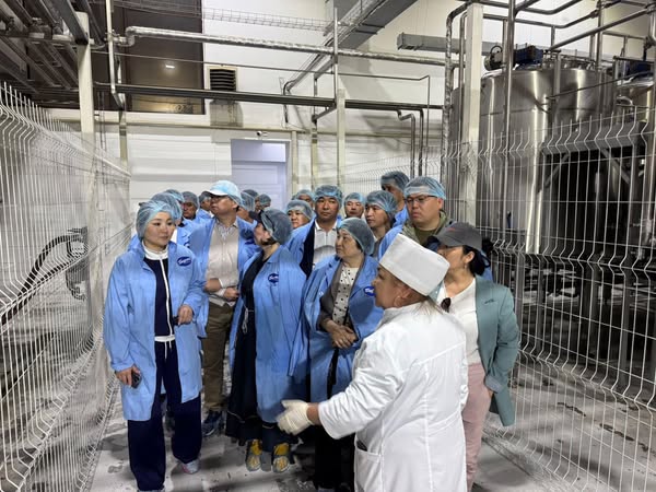 МАҢҒЫСТАУЛЫҚ ДЕЛЕГАЦИЯ ТҮРКІСТАН ОБЛЫСЫНЫҢ ТӘЖІРИБЕСІМЕН ТАНЫСТЫ