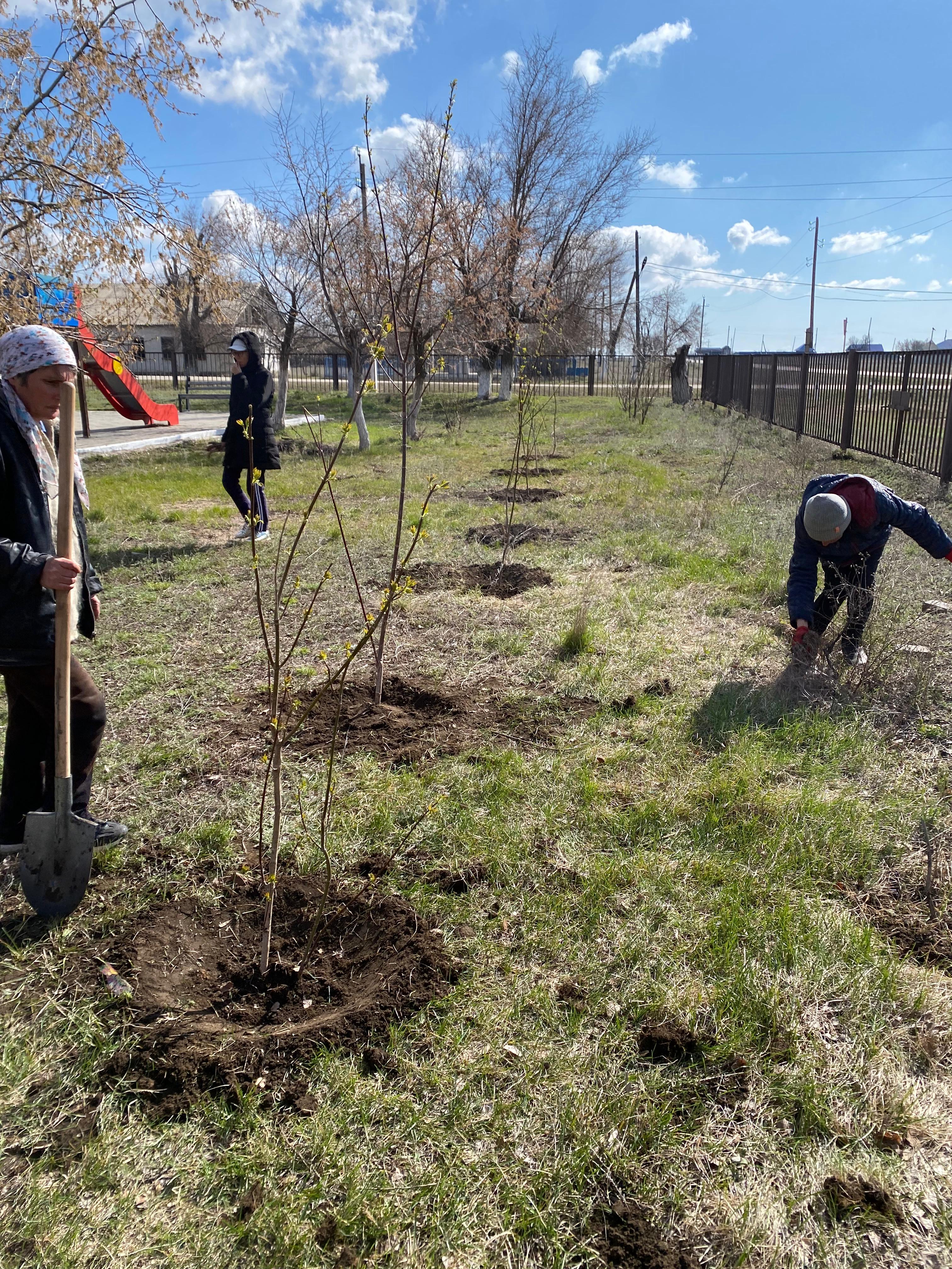 15-сәуір бүкілқазақстан ағаш отырғызу күні Үшқұдық ауылдық округінде өтті.