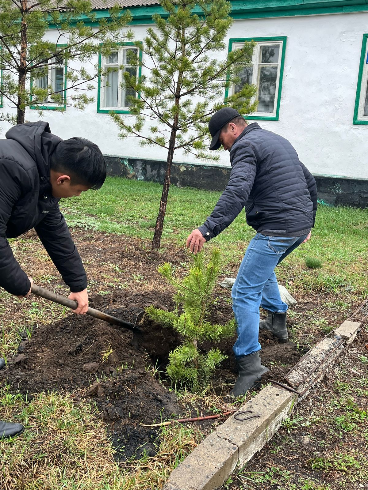 Новоселов ауылында көктемгі ағаш отырғызу.